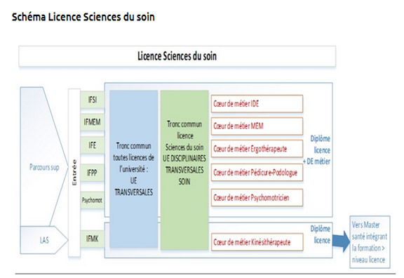 Schéma de Licence des sciences du soin